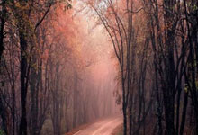 紐卡花6000萬鎊就為拿下一名才24歲的水晶宮中衛是認真的嗎.