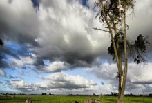 Windhorst表示只要不收回長期合同 籃網隊的每一位球員都有可能被交易.